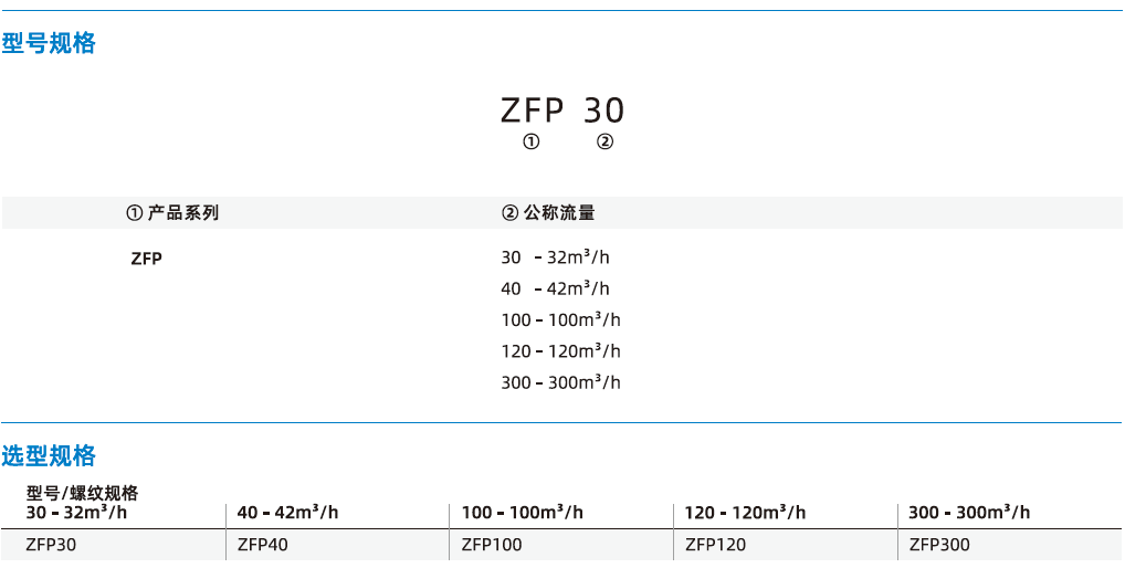 ZFP系列-大流量型真空過濾器